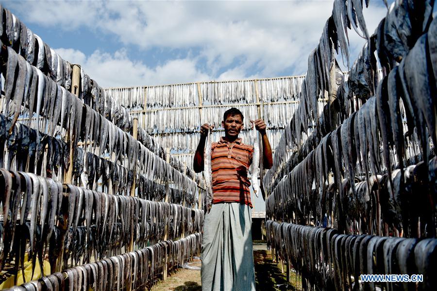 BANGLADESH-COX'S BAZAR-FISH DRYING