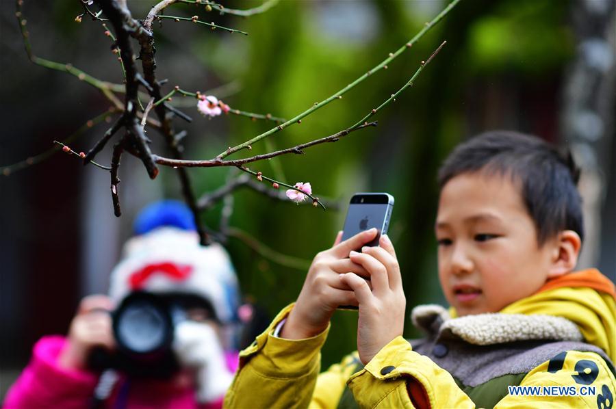 CHINA-FUZHOU-LINYANG TEMPLE-PLUM BLOSSOM (CN)