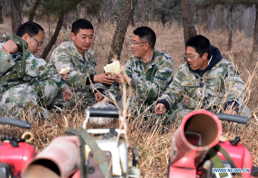 CHINA-SHANDONG-LAIXI-FOREST RANGER(CN)