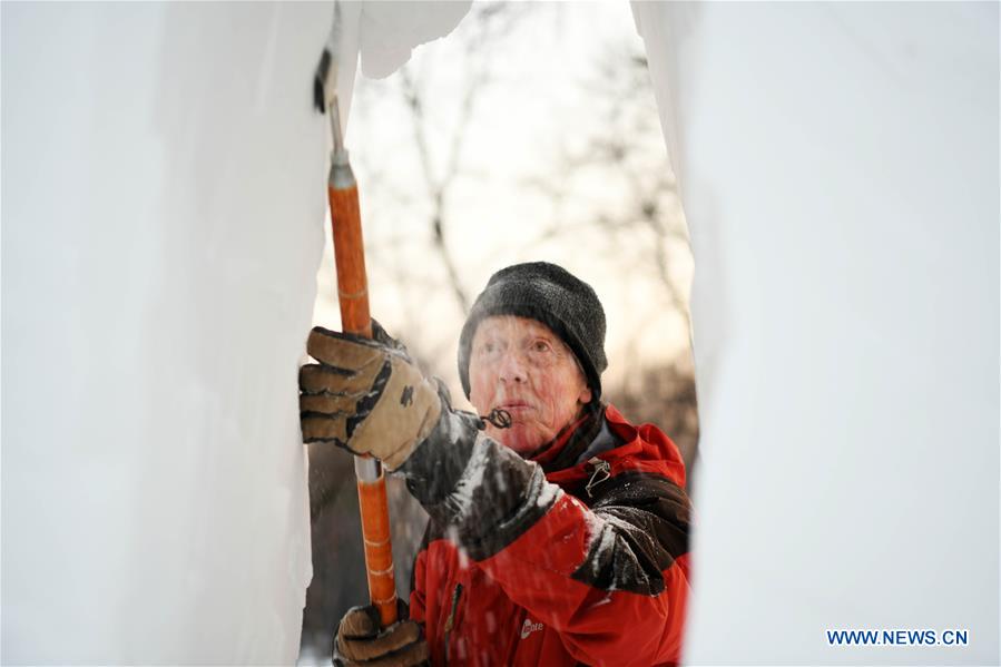 CHINA-HARBIN-SNOW SCULPTURE (CN)