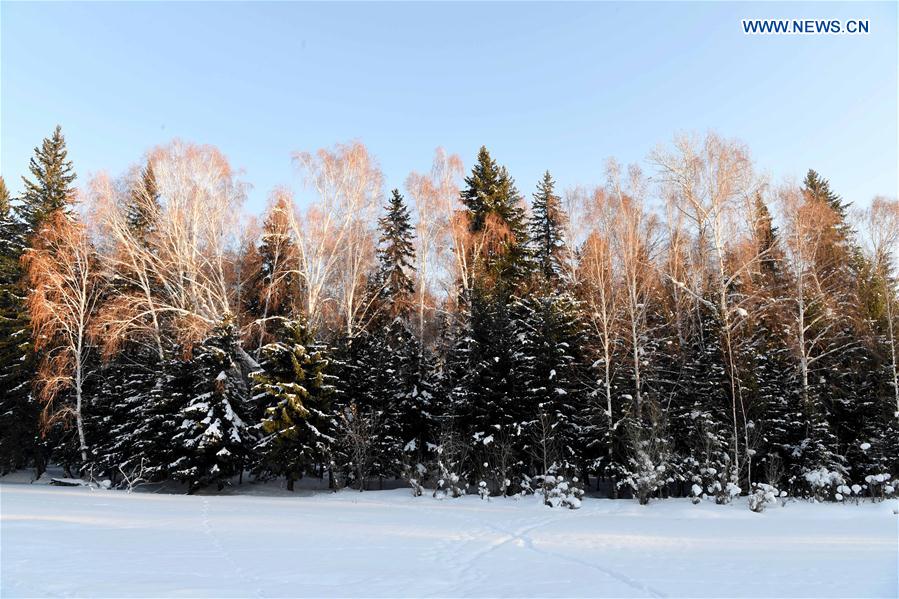 CHINA-XINJIANG-SCENIC SPOT-WINTER SCENERY (CN)