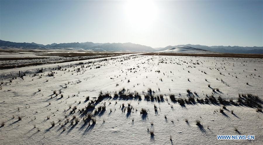 CHINA-GANSU-SHANDAN RANCH-HORSE (CN)