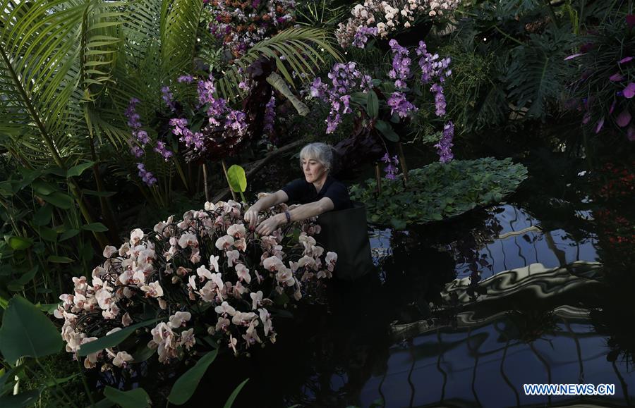 BRITAIN-LONDON-KEW ORCHID FESTIVAL-PRESS PREVIEW