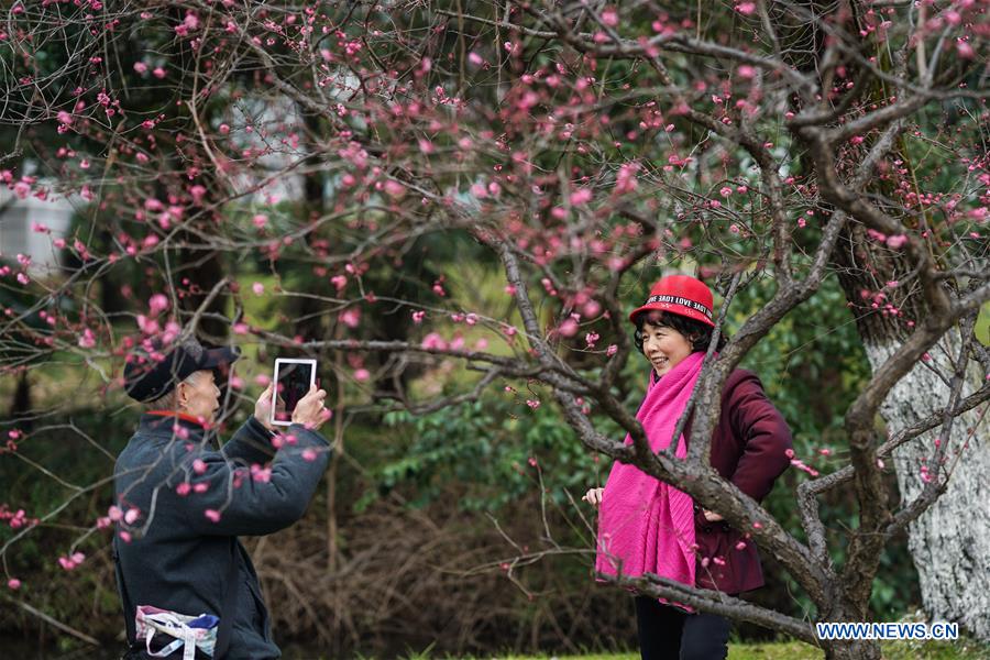 CHINA-JIANGSU-NANJING-PLUM BLOSSOM(CN)