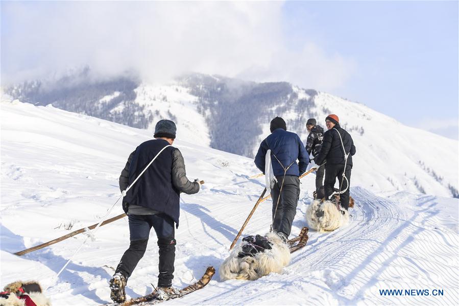 (SP)CHINA-XINJIANG-ALTAY-FUR SNOWBOARDS(CN)