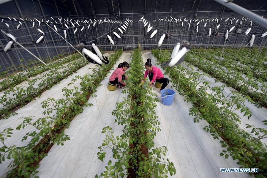 #CHINA-SPRING-FARMING (CN)