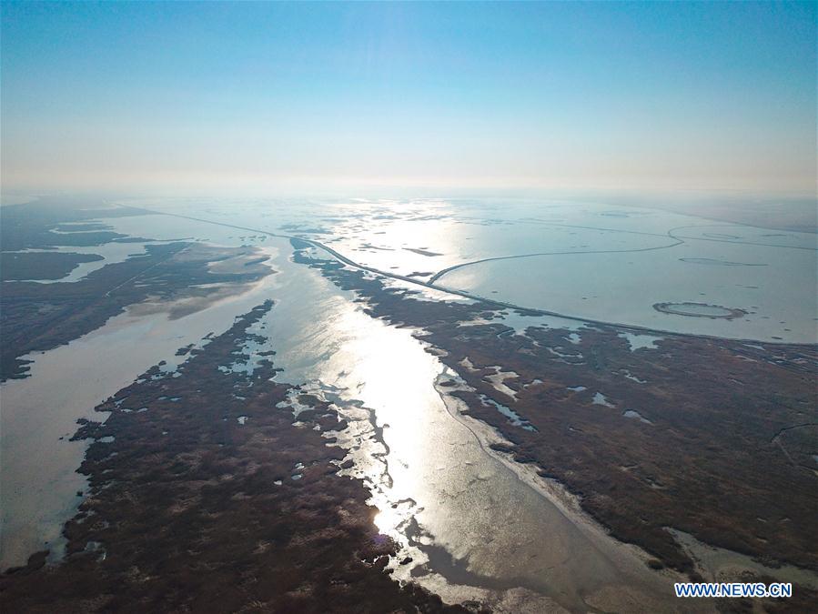 CHINA-DONGYING-YELLOW RIVER DELTA-SCENERY (CN)