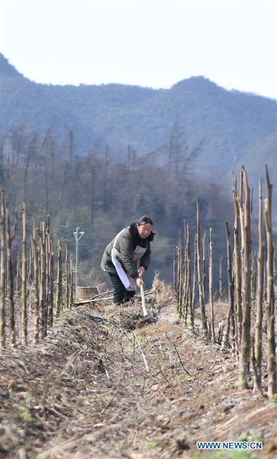 CHINA-HUNAN-FARM WORK (CN)