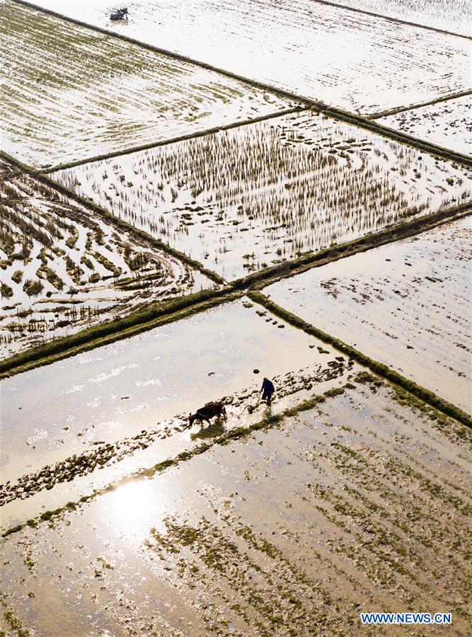 #CHINA-SPRING-FARMING (CN)