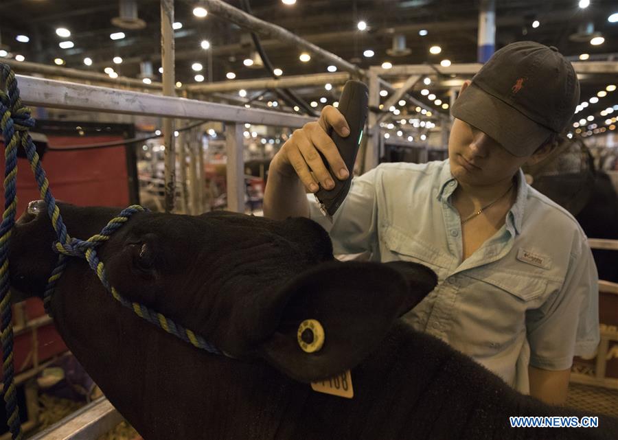 U.S.-HOUSTON-LIVESTOCK SHOW AND RODEO