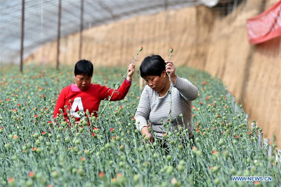 CHINA-SHANXI-HUGUAN-AGRICULTURE (CN)