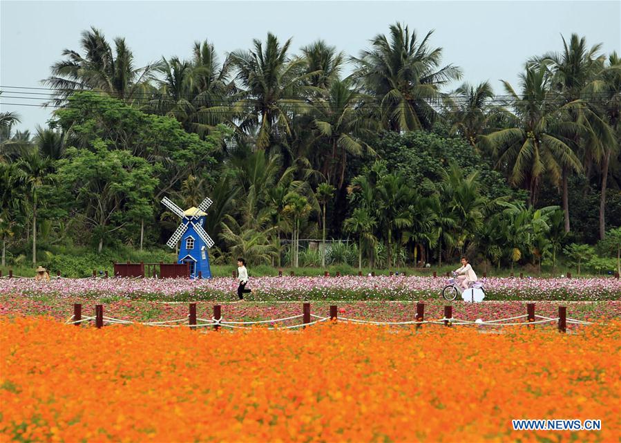 CHINA-QIONGHAI-RURAL DEVELOPMENT (CN)