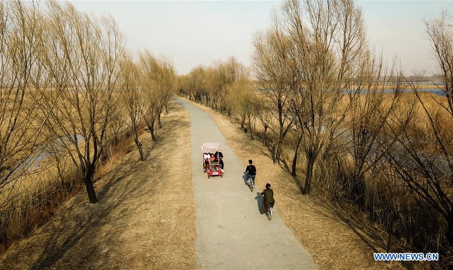 CHINA-BEIJING-WILD DUCK LAKE WETLAND NATIONAL PARK-REOPENING (CN)