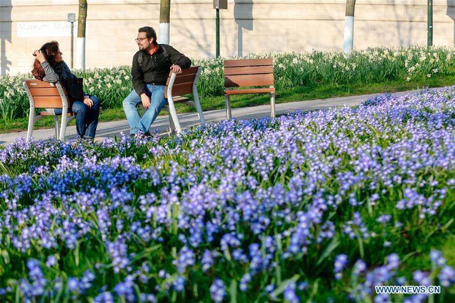 BELGIUM-BRUSSELS-SPRING-FLOWERS