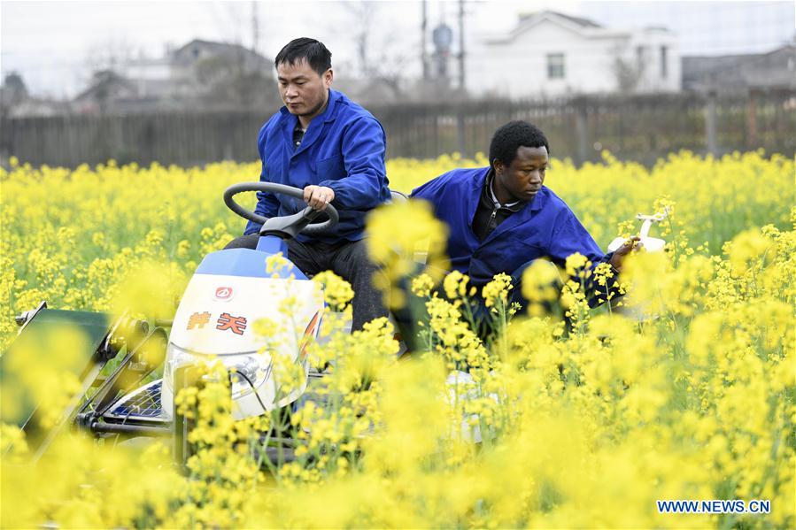 CHINA-HUNAN-CAMEROONIAN STUDENT-AGRICULTURE (CN)