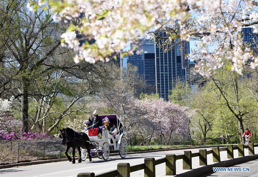  U.S.-NEW YORK-SPRING-SCENERY