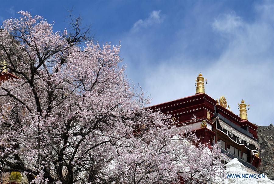 CHINA-TIBET-PABONKA HERMITAGE-SCENERY (CN)