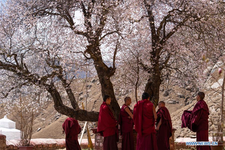 CHINA-TIBET-PABONKA HERMITAGE-SCENERY (CN)