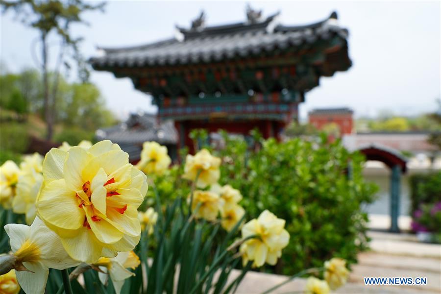 SOUTH KOREA-SUNCHEON-SUNCHEON BAY NATIONAL GARDEN