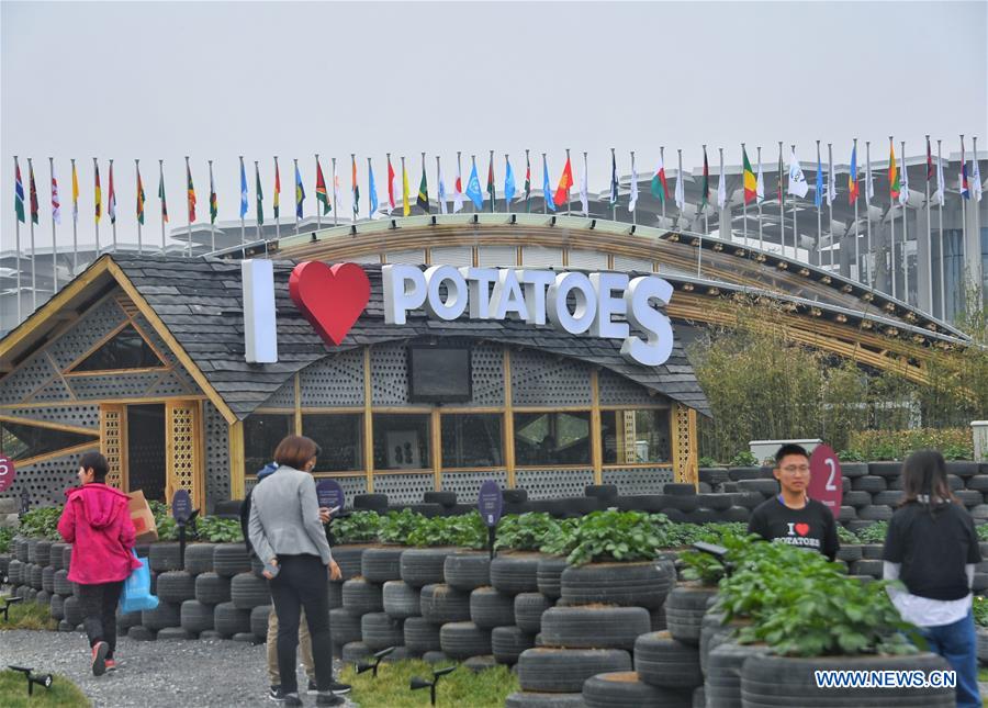 (EXPO 2019)CHINA-BEIJING-HORTICULTURAL EXPO-OPENING TO PUBLIC (CN)