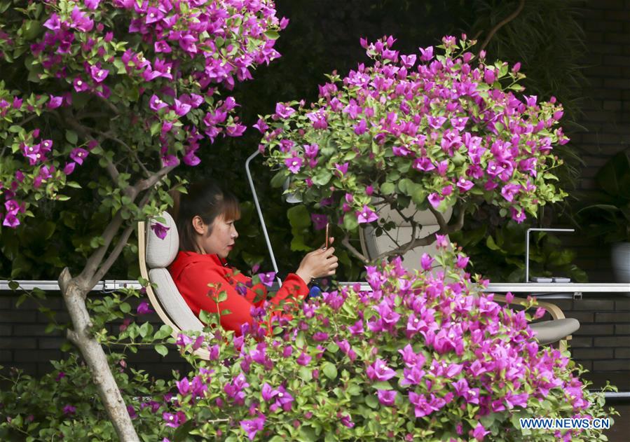 (EXPO 2019)CHINA-BEIJING-HORTICULTURAL EXPO-OPENING(CN)