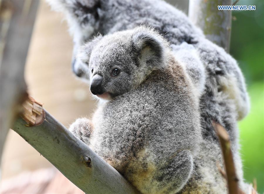 XINHUA PHOTOS OF THE DAY