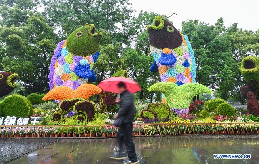 CHINA-ZHEJIANG-HANGZHOU-ANCIENT TOWN-FLOWER EXHIBITION (CN)