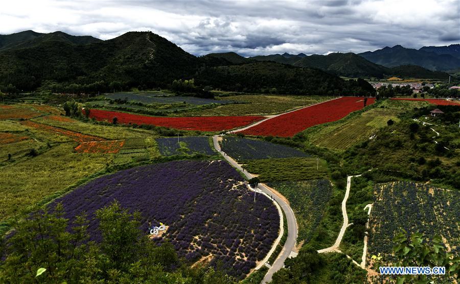 (EcoChina)CHINA-BEIJING-HORTICULTURAL EXPO (CN)