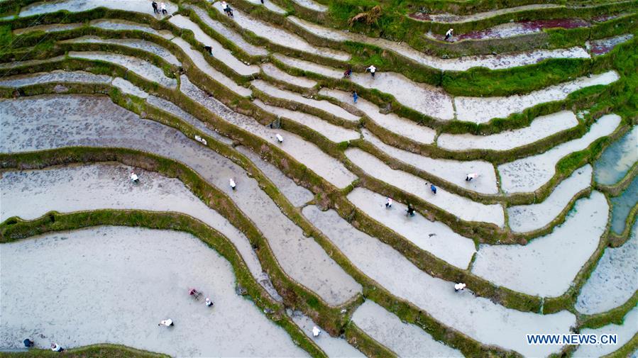 #CHINA-GUANGXI-TERRACED FIELD-FARMING (CN)