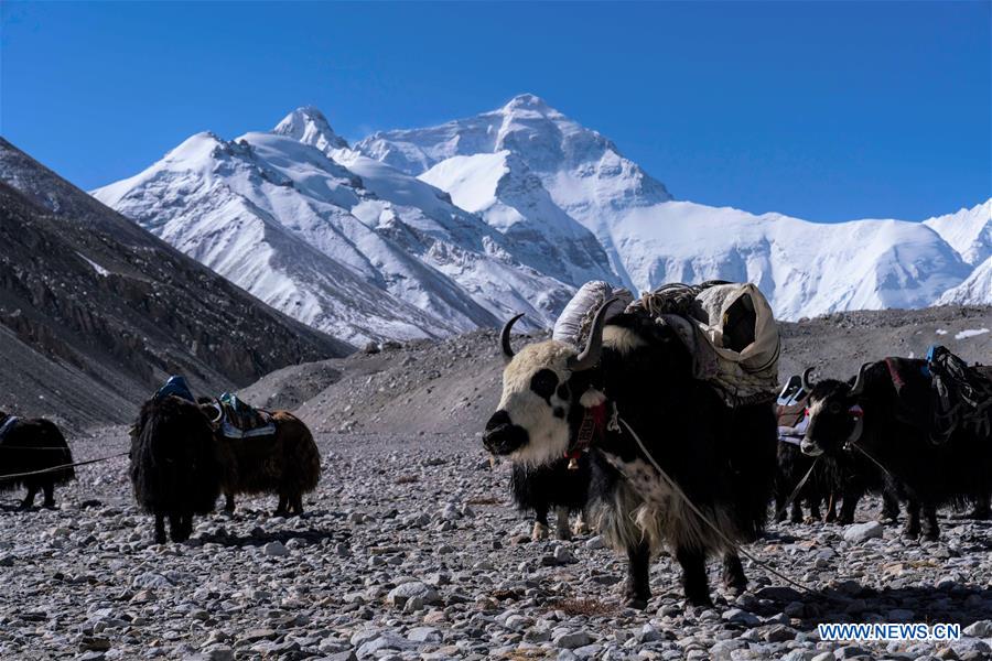 (InTibet)CHINA-TIBET-MOUNT QOMOLANGMA-BASE CAMP-LIFE (CN)