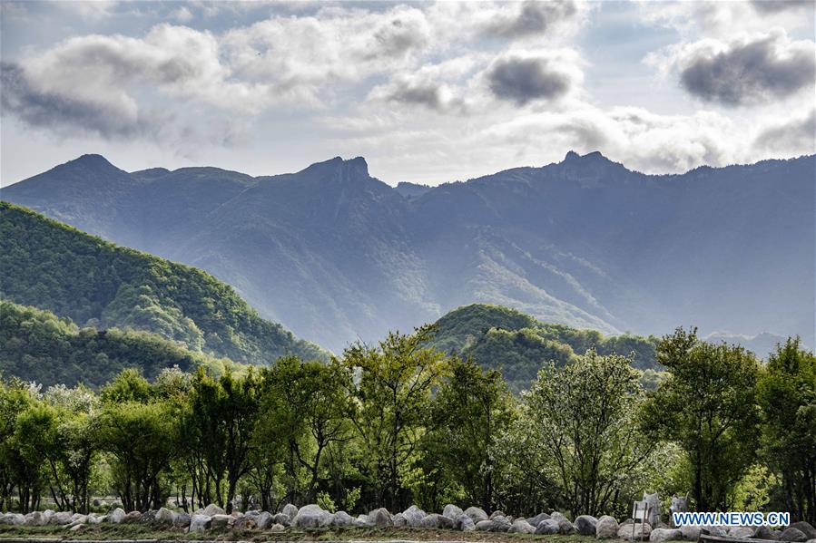 CHINA-HUBEI-SHENNONGJIA-SCENERY (CN)