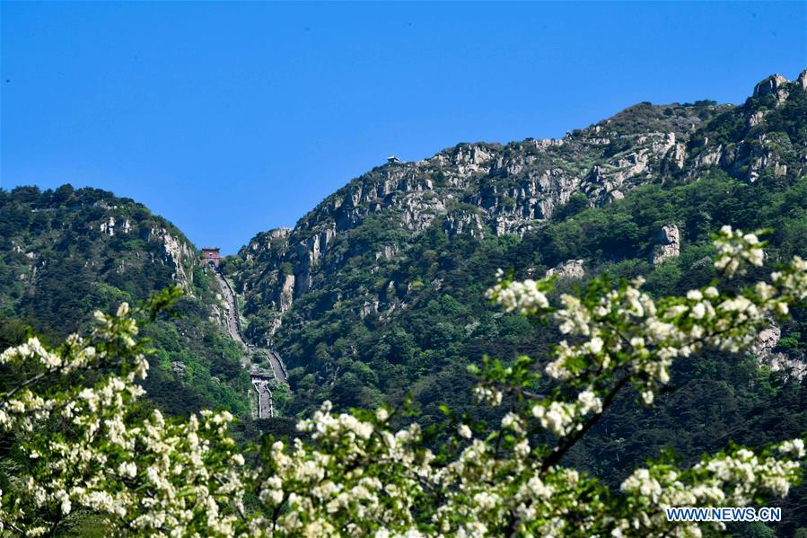 CHINA-SHANDONG-TAISHAN MOUNTAIN-SCENERY (CN)