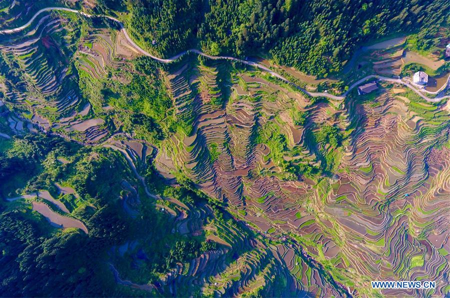 CHINA-GUANGXI-RONGSHUI-TERRACED FIELDS (CN)