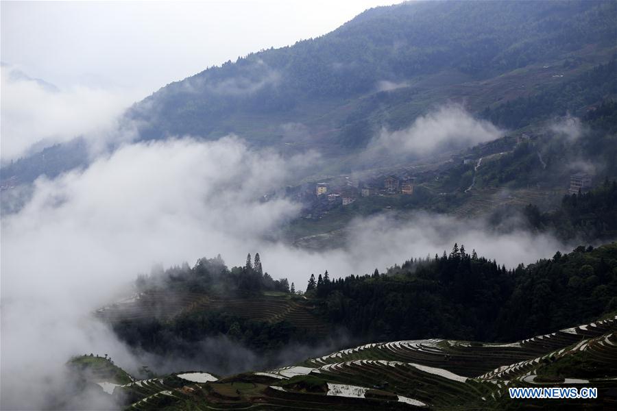 #CHINA-GUANGXI-TERRACED FIELD-SCENERY