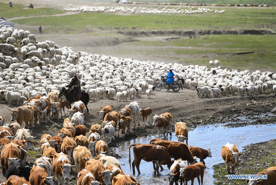 XINHUA PHOTOS OF THE DAY