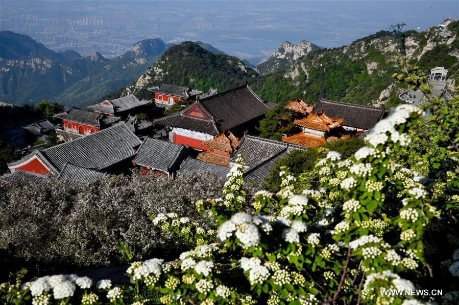 (EcoChina)CHINA-BEIJING-HORTICULTURAL EXPO-SHANDONG (CN)