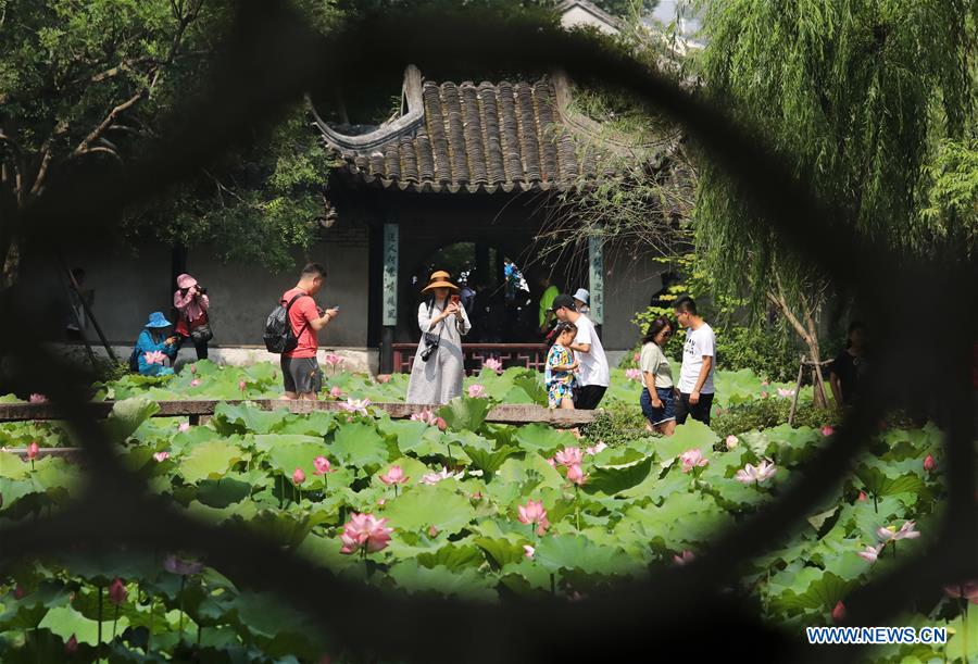 #CHINA-JIANGSU-SUZHOU-LOTUS FLOWERS (CN)