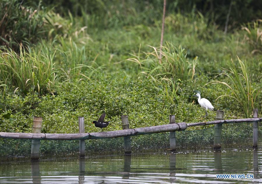 CHINA-ZHEJIANG-DEQING-WETLAND (CN)