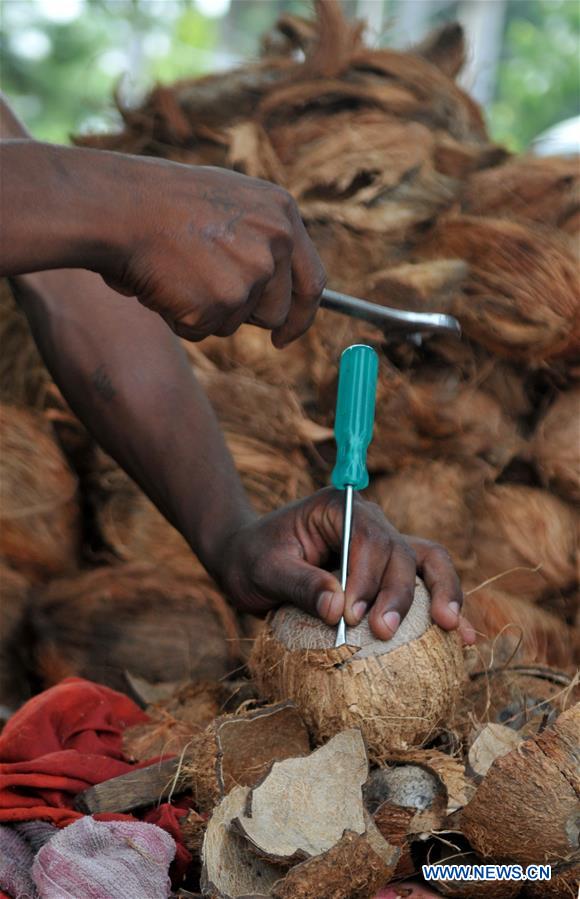 KASHMIR-JAMMU-COCONUT-VENDOR