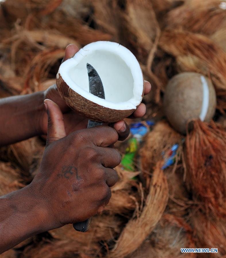 KASHMIR-JAMMU-COCONUT-VENDOR