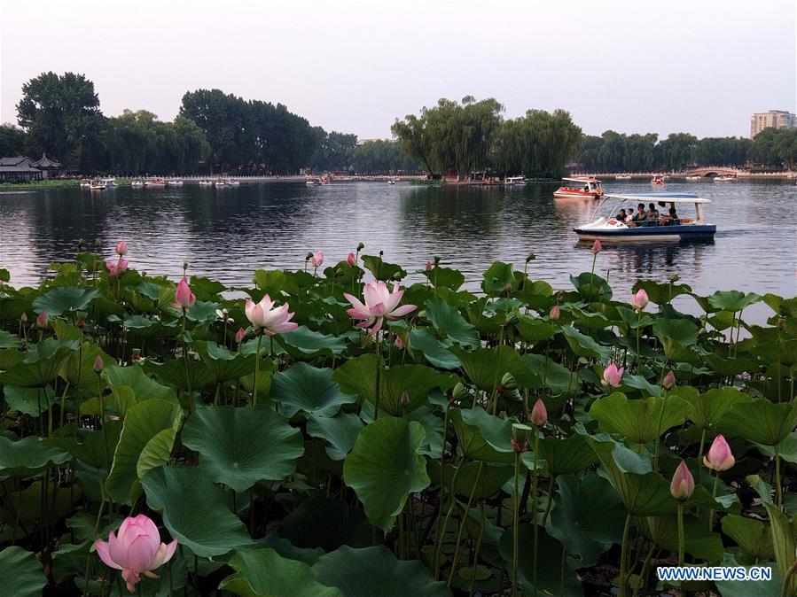 (BeijingCandid)CHINA-BEIJING-SUMMER (CN)