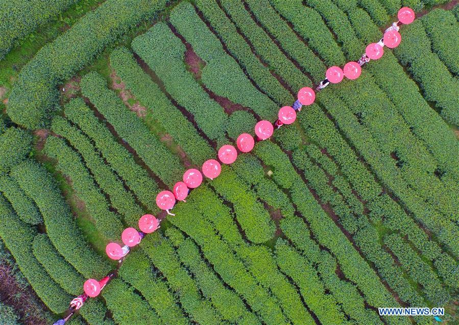 (EcoChina)CHINA-HORTICULTURAL EXPO-GUANGXI (CN)