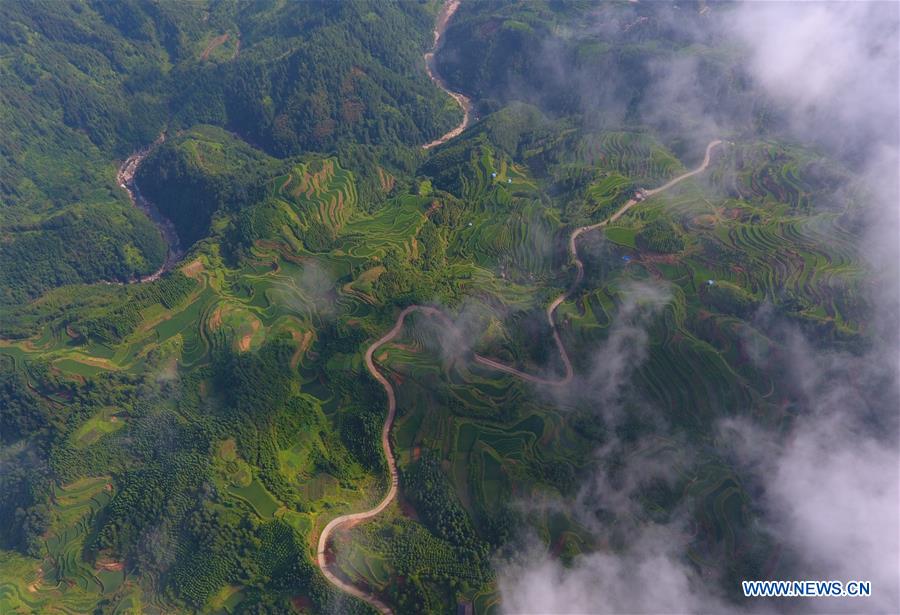 CHINA-GUANGXI-RONGSHUI-TERRACED FIELDS (CN)