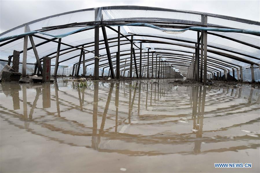 CHINA-SHANDONG-SHOUGUANG-TYPHOON-FLOOD (CN)