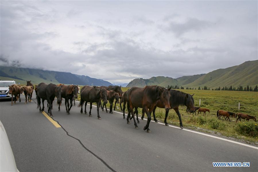 CHINA-XINJIANG-DUSHANZI-KUPA HIGHWAY-SCENERY (CN)