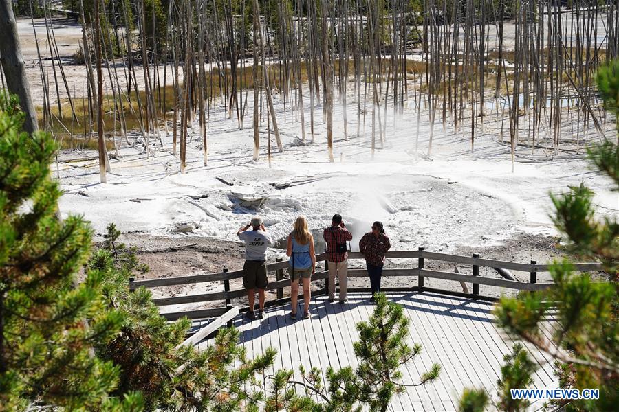 U.S.-YELLOWSTONE NATIONAL PARK-SCENERY