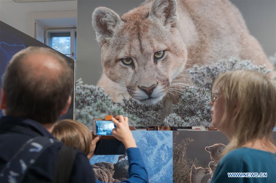 HUNGARY-BUDAPEST-WORLD PRESS PHOTO EXHIBITION