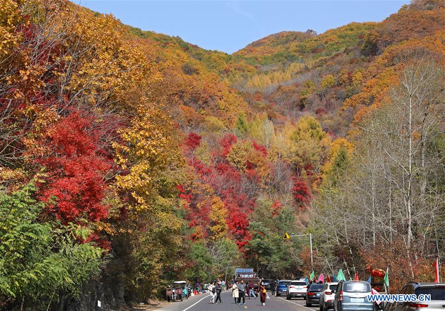 CHINA-LIAONING-AUTUMN SCENERY (CN)