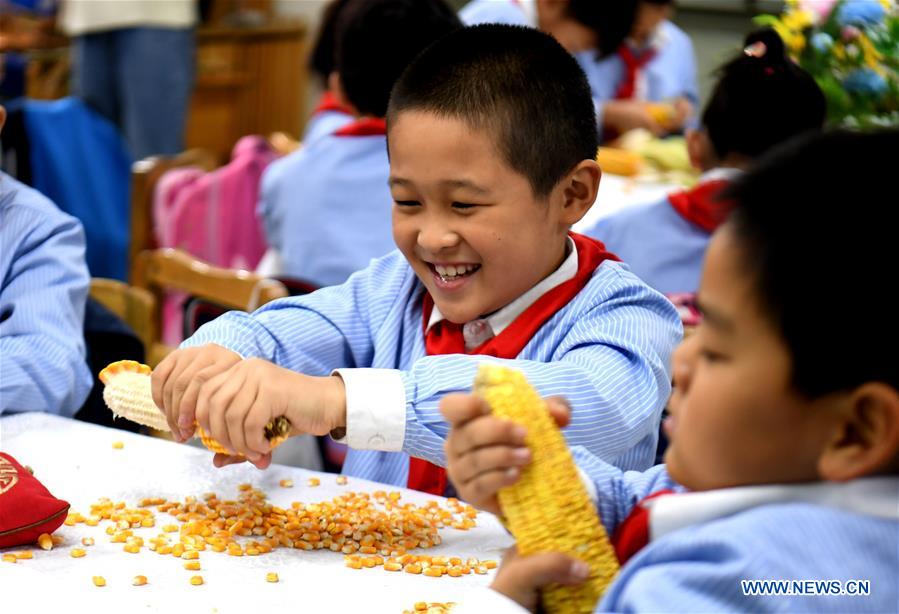 CHINA-HEBEI-WORLD FOOD DAY (CN)