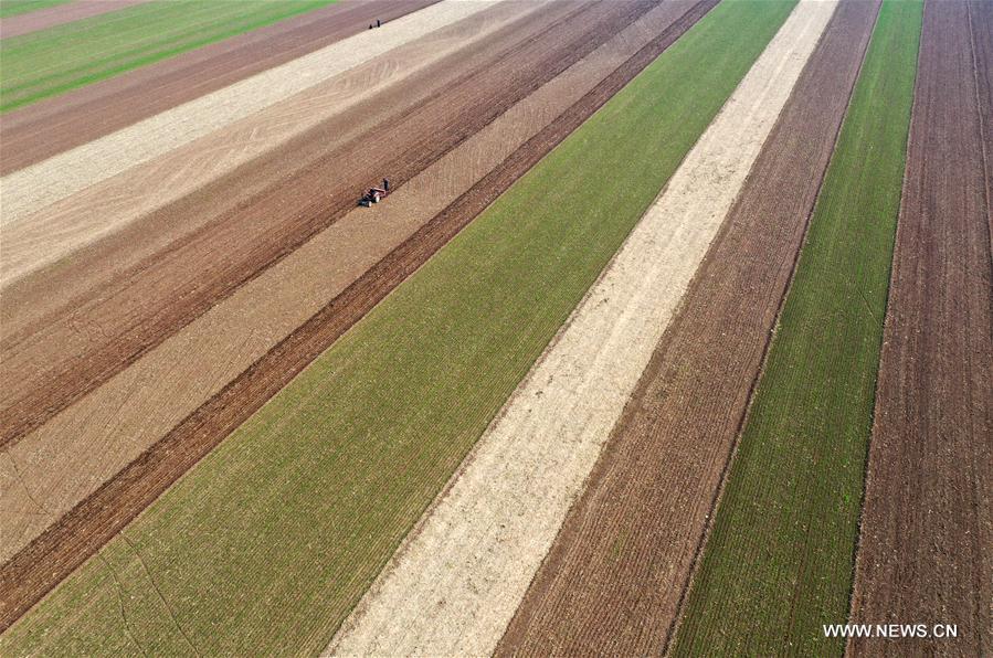 CHINA-HENAN-BAOFENG-FARMING (CN)